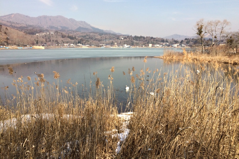 平野ワンド 平野ワンド