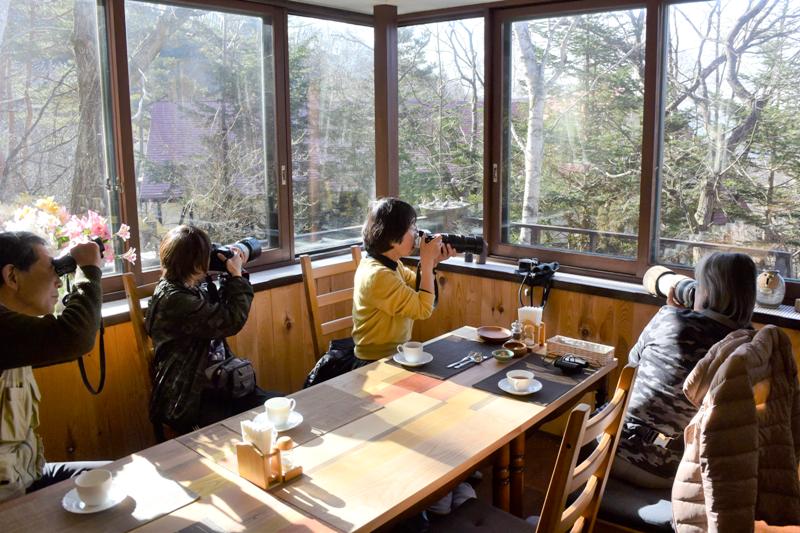 室内から観察