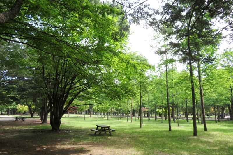 観察風景 観察風景