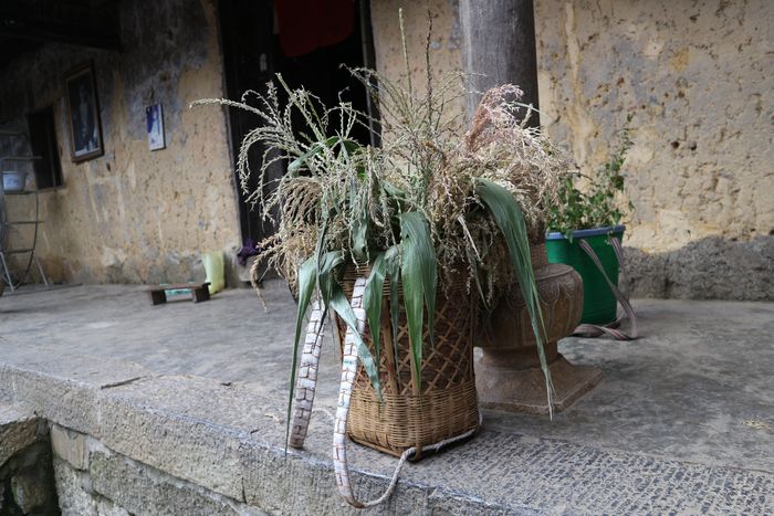 この館でも「ケシ坊主」の意匠が柱の下にありました