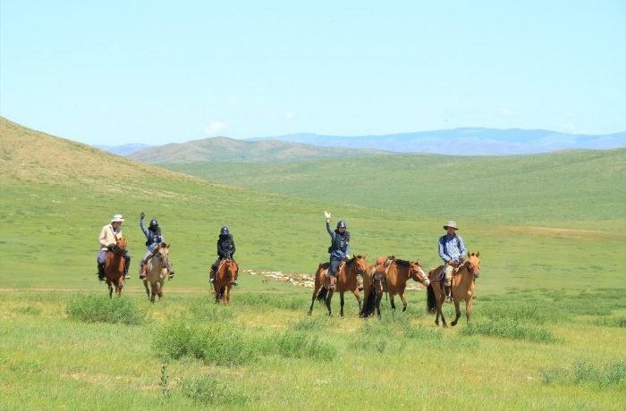 青い空、緑の草原、夏のモンゴルシーズンがやってきました！