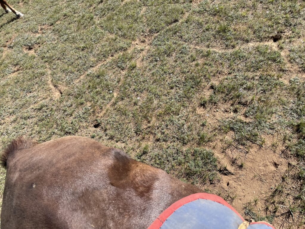 ネズミの穴には要注意