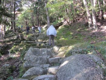神倉神社の石段をのぼる