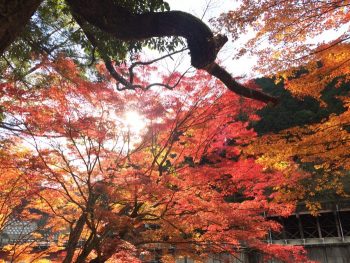 滝尻王子にて