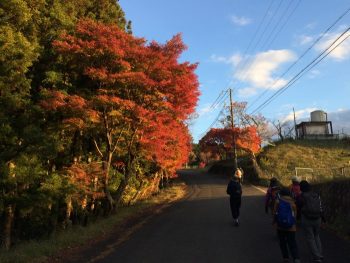 紅葉が目を楽しませてくれた