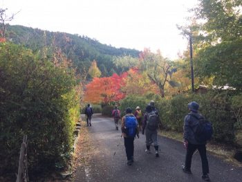 足取りも軽く中辺路を行く