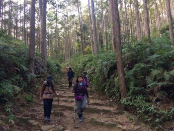 古道の雰囲気が漂う石段