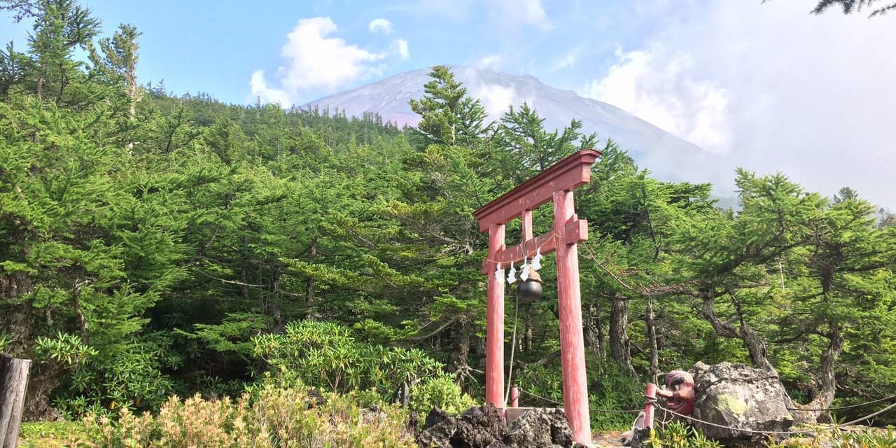 亜高山帯の野鳥 夏の富士山 奥庭 国内 風の旅行社