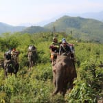 森を抜け山の頂に到着、あと少し下れば目的の村に到着です