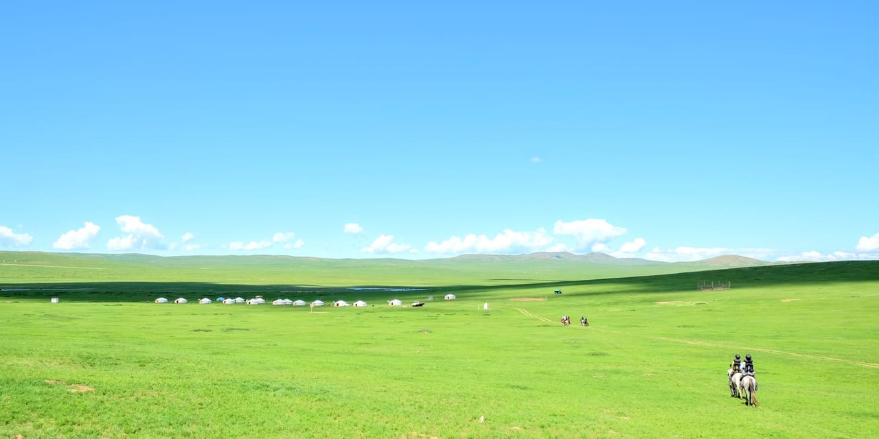 モンゴルの大草原で星空観察5日間 モンゴル 風の旅行社