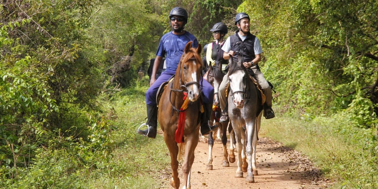 スリランカの自然を体感しながらの乗馬です