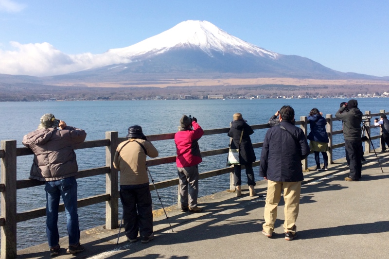 富士山