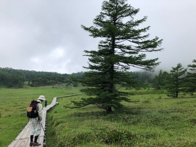 信州の高原 (斑尾高原ではありません)