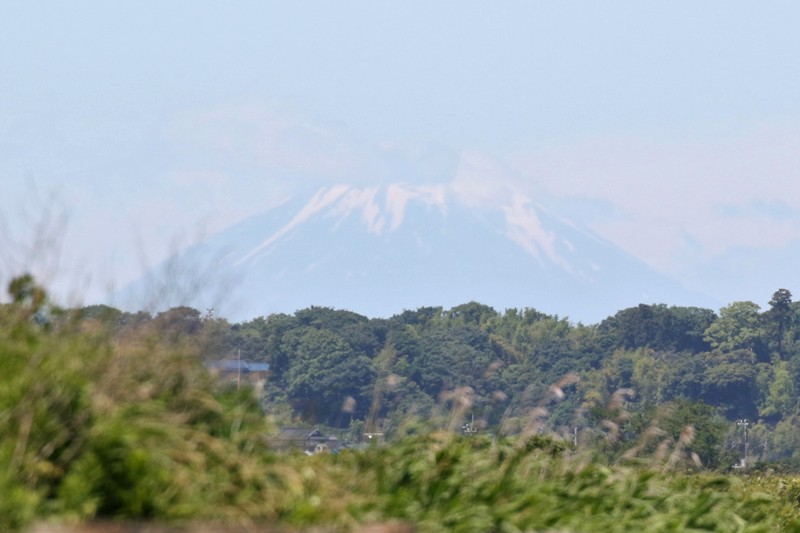 富士山 富士山