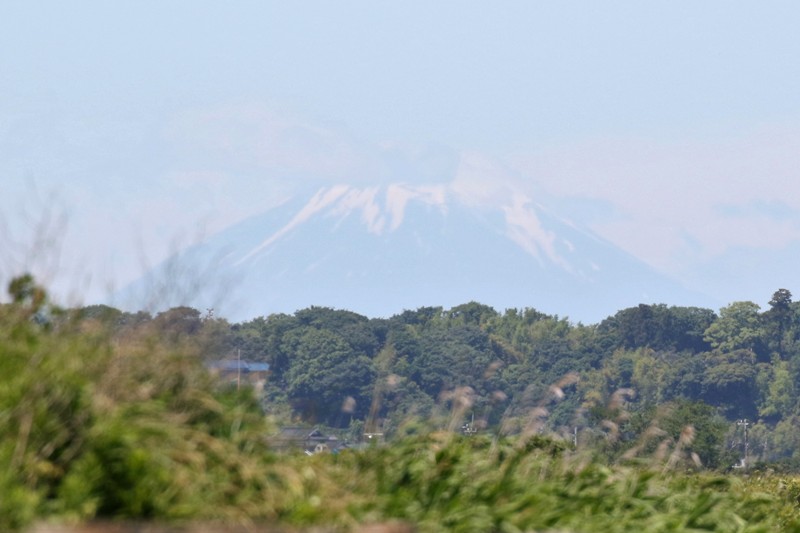 富士山