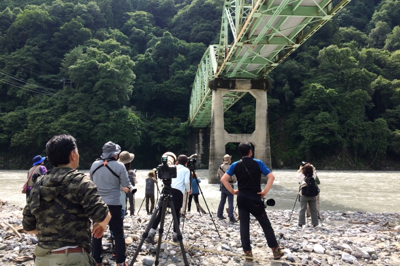 河川敷から観察 河川敷から観察
