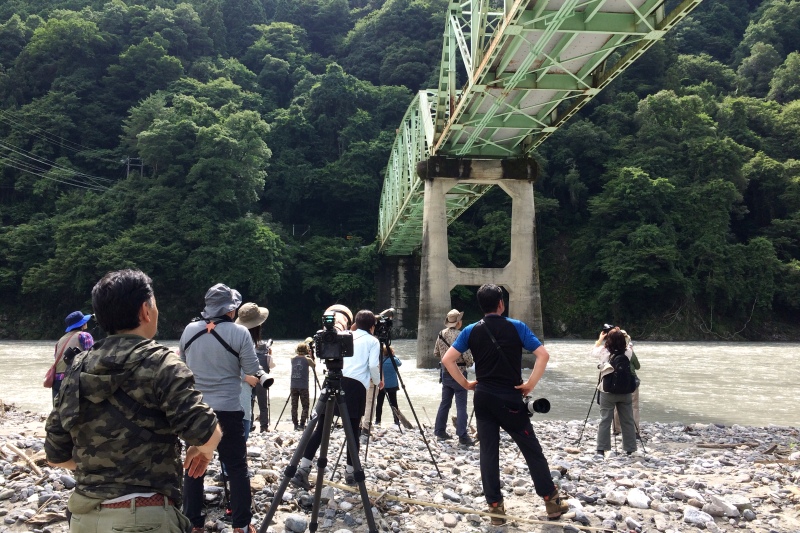 河川敷から観察