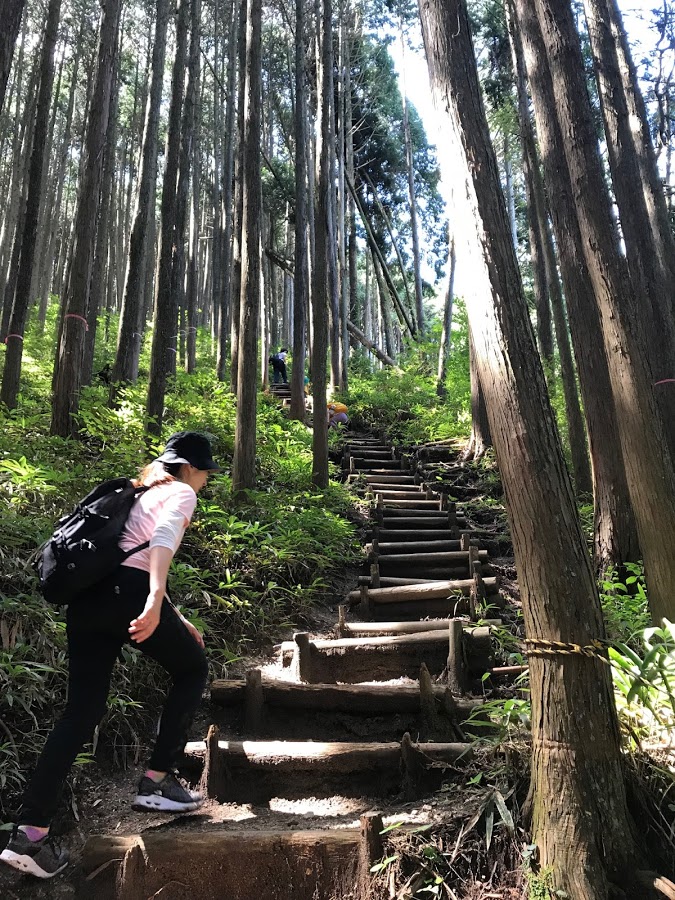 行きは登り道。階段が続きます