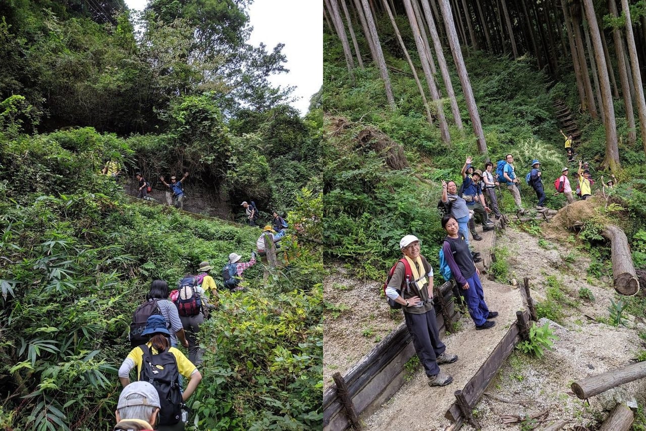 楽しく歩きました！