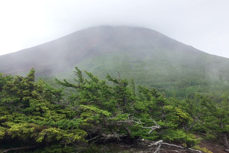 富士山 富士山