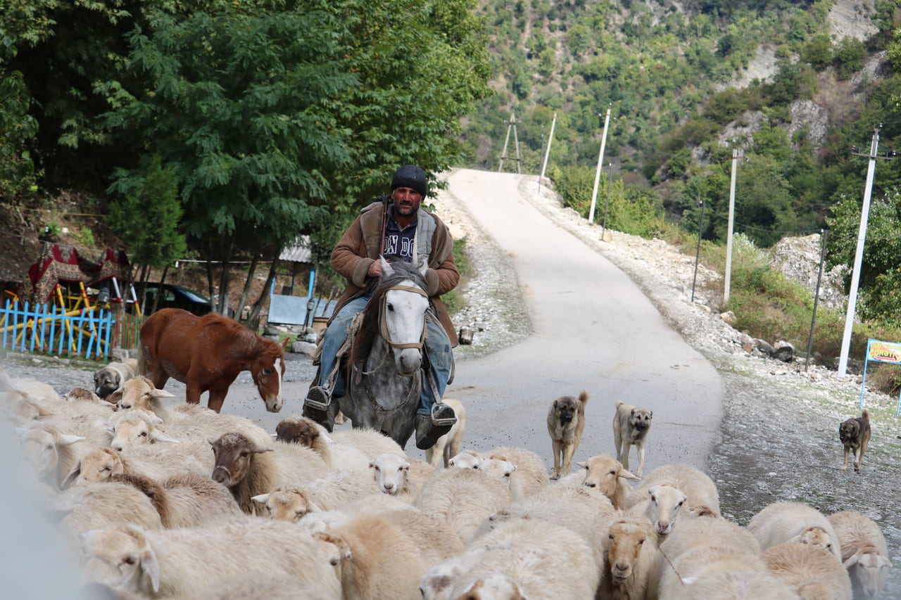 アゼルバイジャン人はこの地域に定住した遊牧トルコ系民族から始まりました