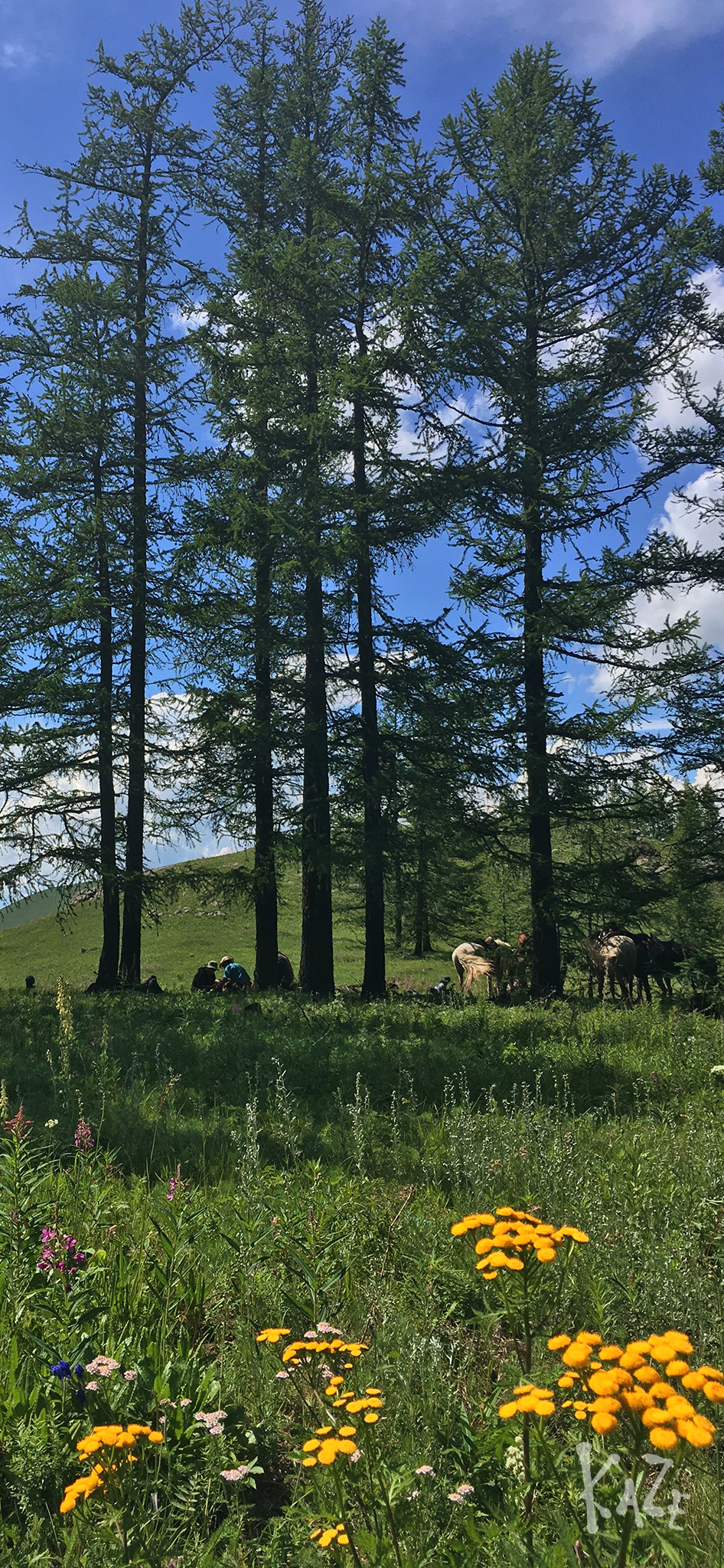 お部屋の中へ 旅の風 を 絶景壁紙 旅動画 風の旅行社