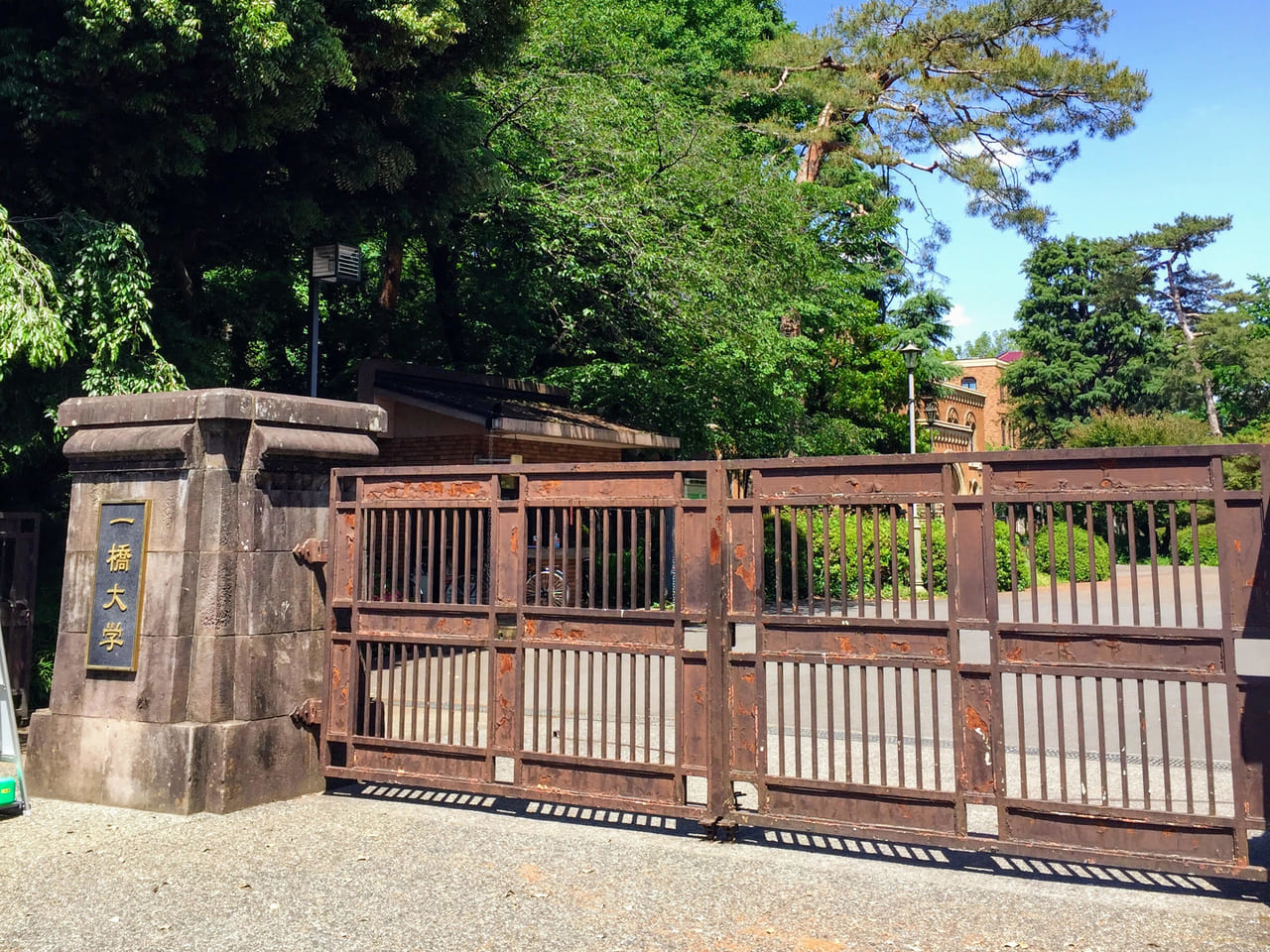 一橋大学