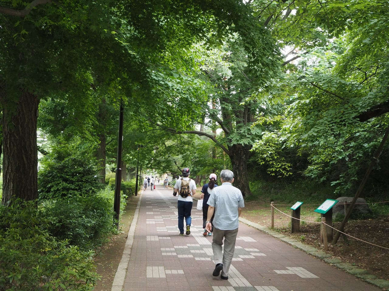 大学通り