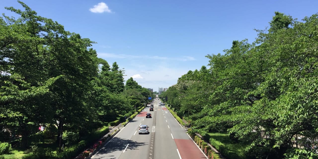 「大学通り」の陸橋からJR国立駅方面を 望む