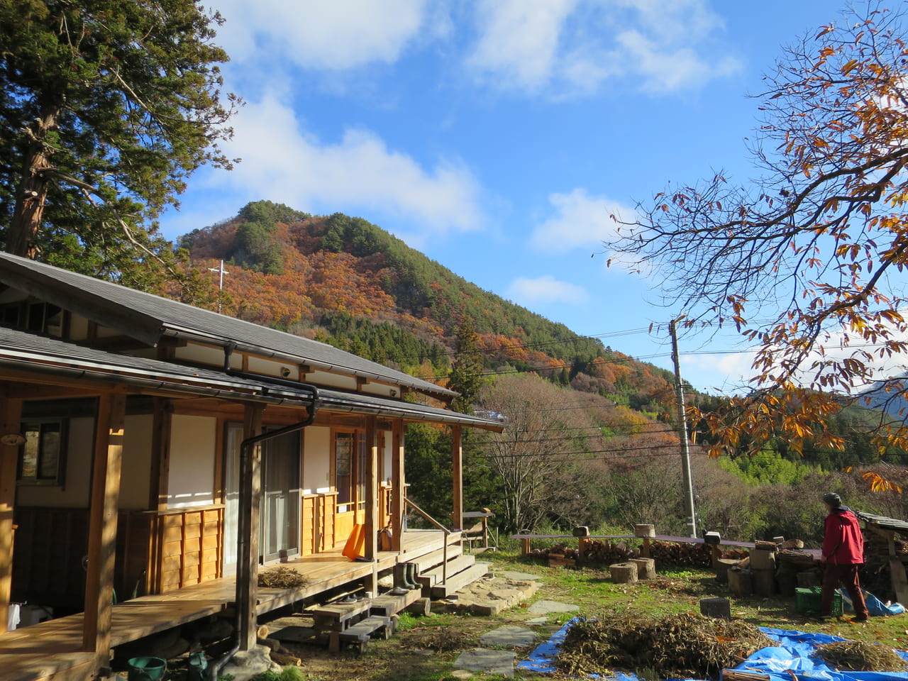 森のくすり塾　秋