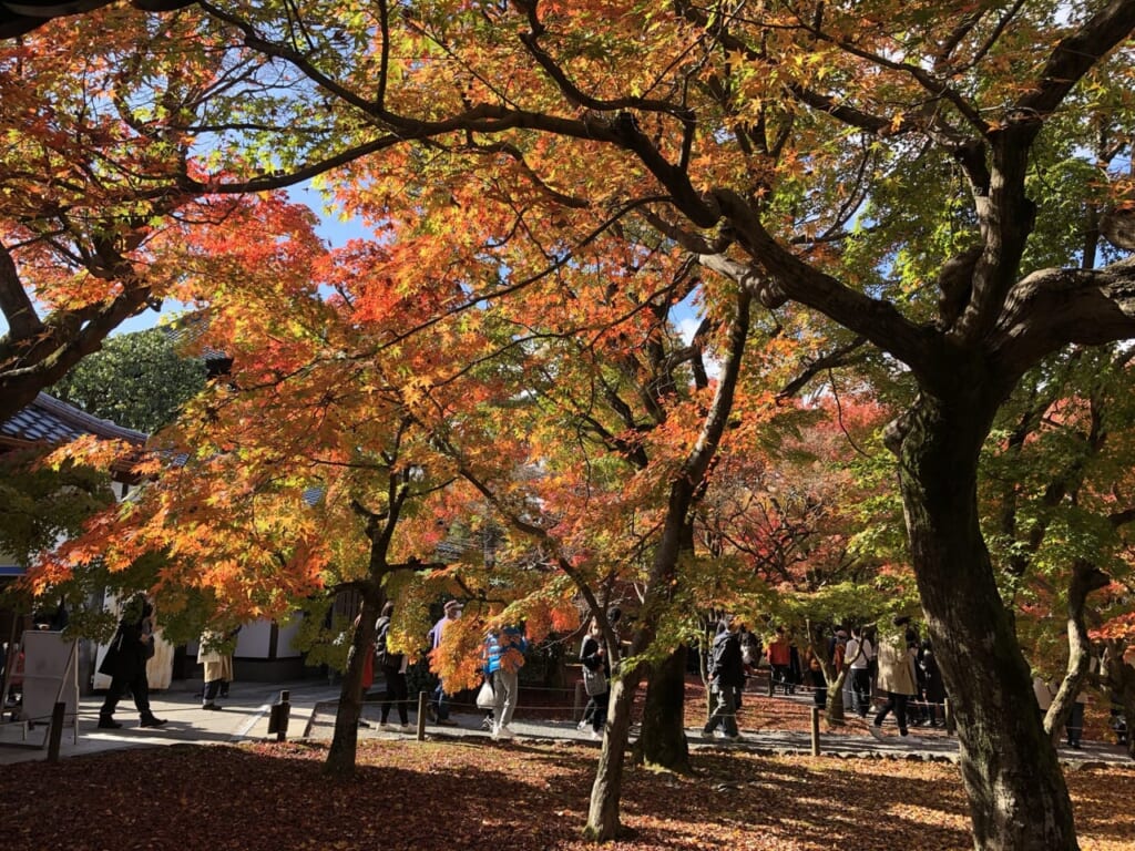 くさり坂