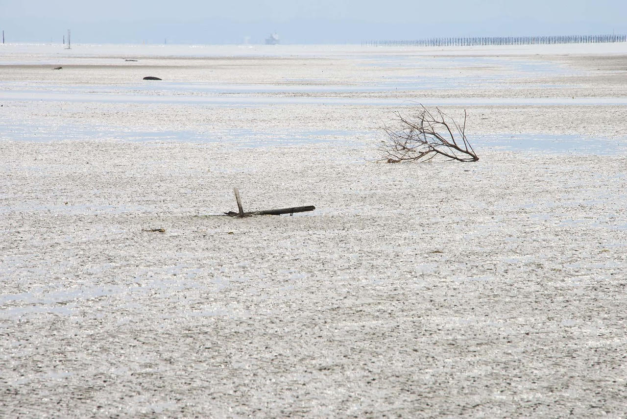 親子de食文化体験 海苔やアサリの故郷 東京湾最大の盤州干潟を歩く 国内旅行 風の旅行社 親子de食文化体験 海苔やアサリの故郷 東京湾最大の盤州干潟を歩く 国内旅行 風の旅行社