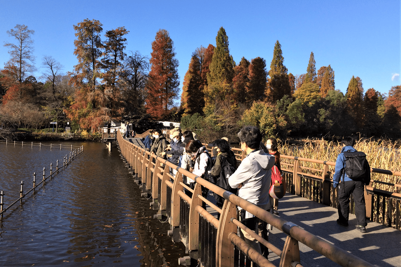 観察風景