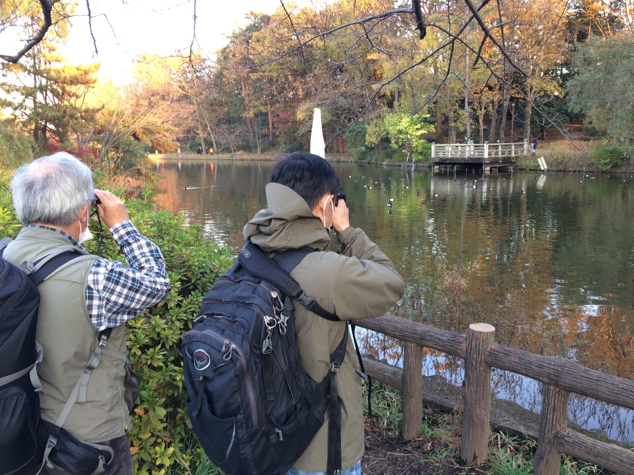 石神井公園で下見中