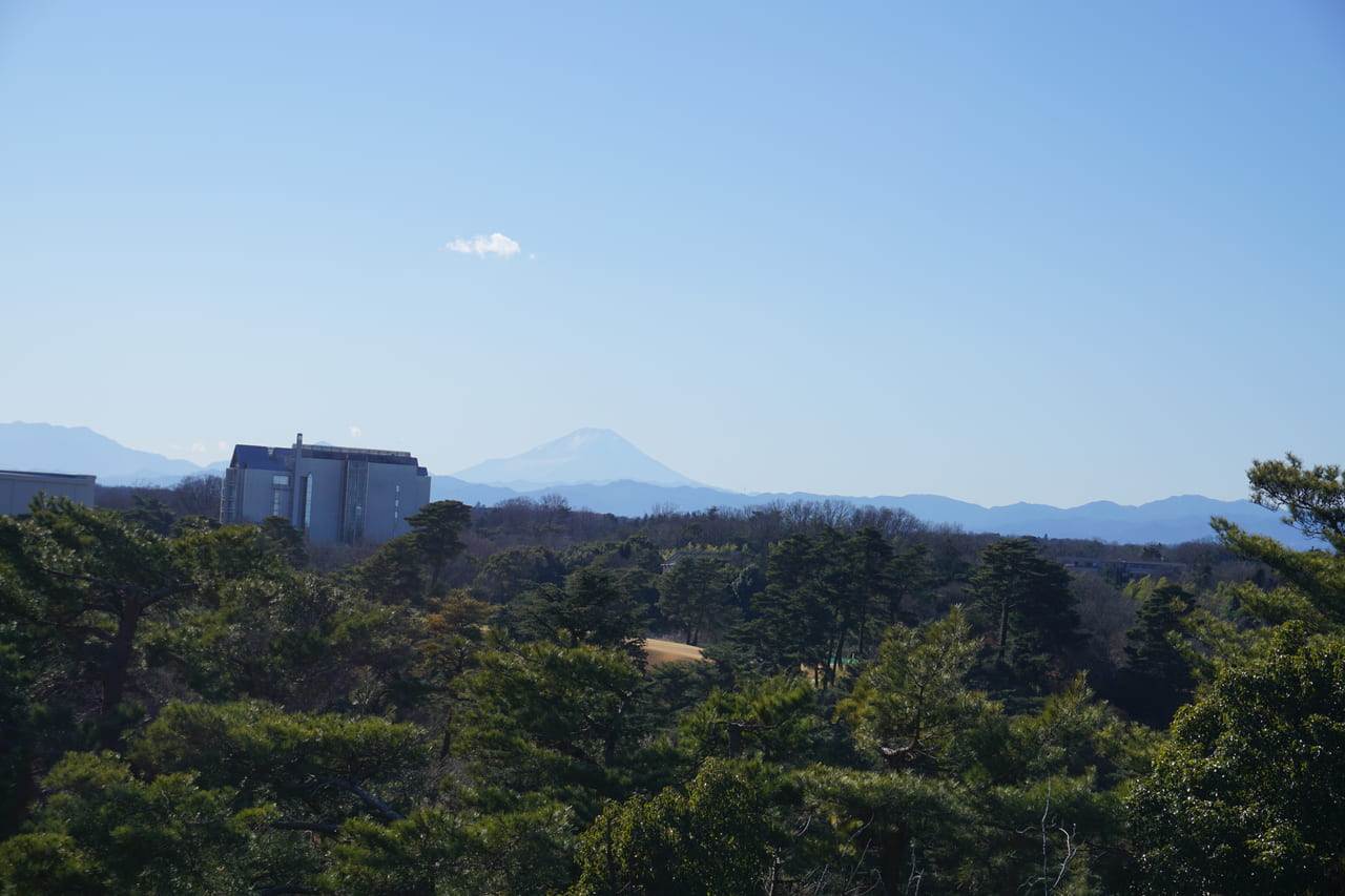 荒幡富士頂上からの富士山