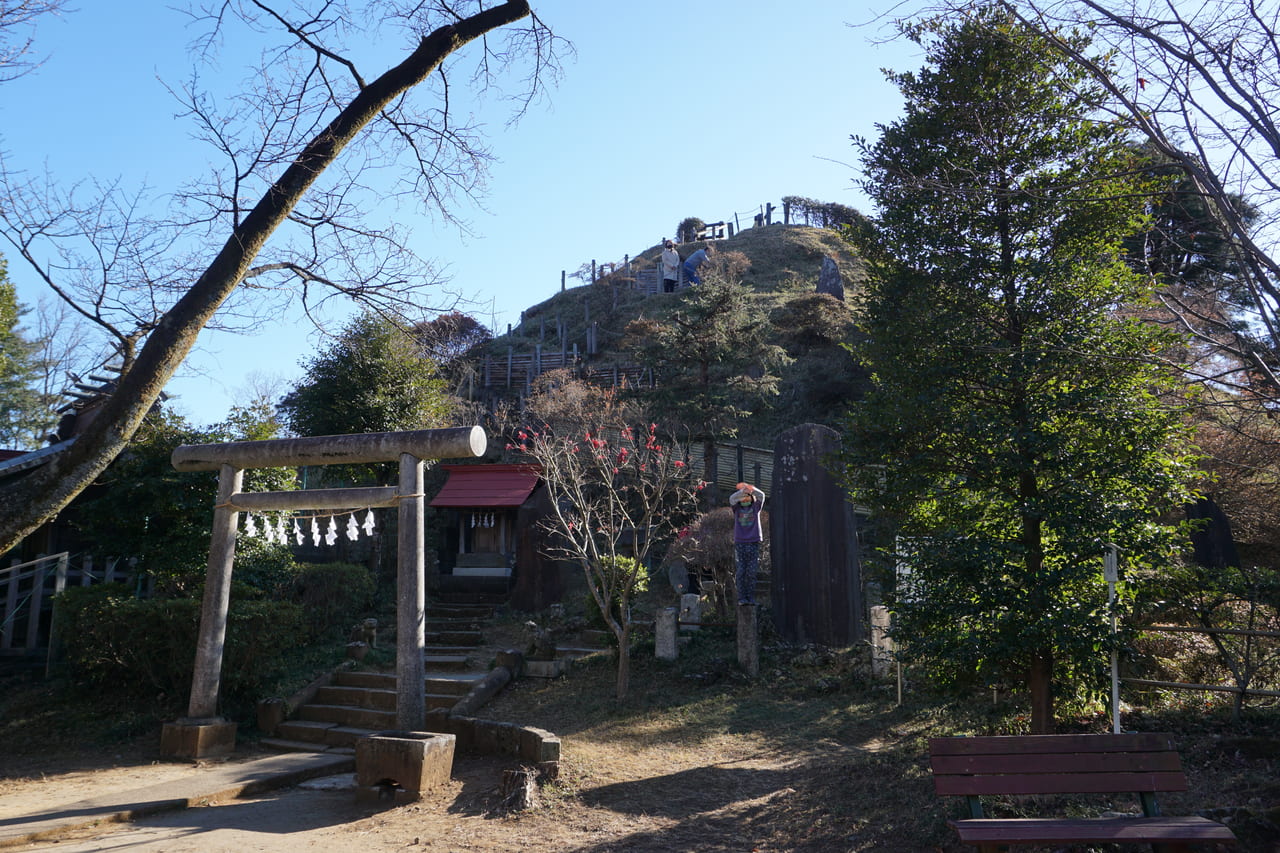 荒幡富士全景