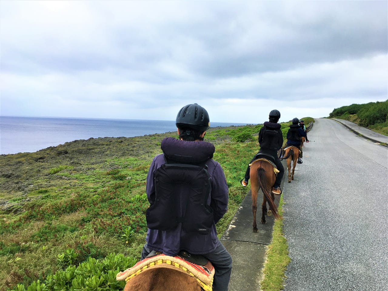 左側は太平洋の大海原