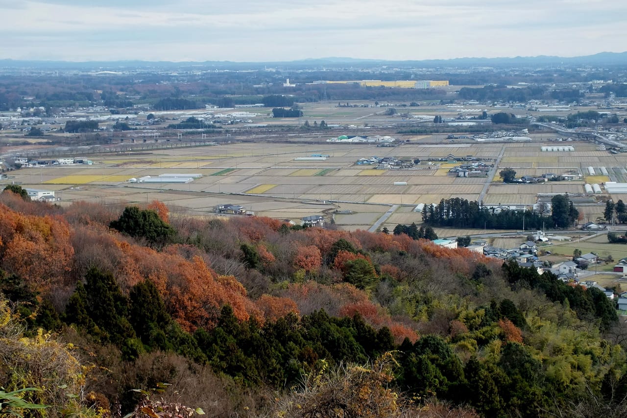 oz-d-tochigi-sekine1