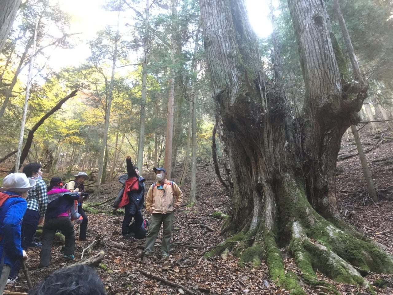 太田　歳　　高野山 高野山～大股（水ヶ峰） – 田辺市熊野ツーリズムビューロー