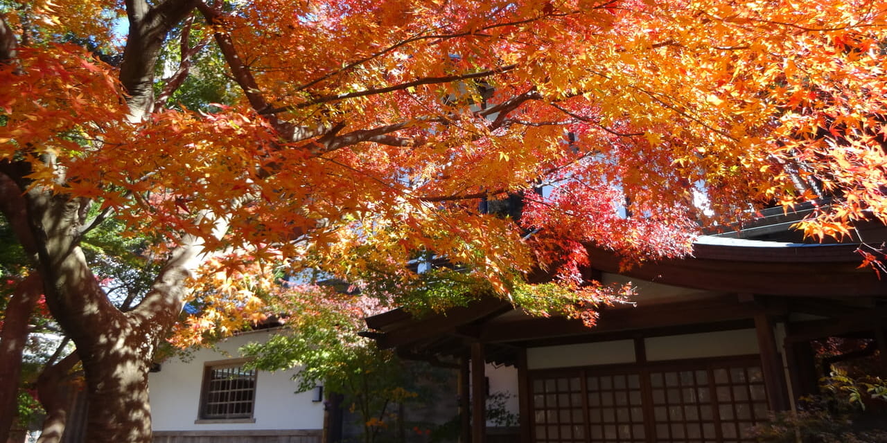 jp-kamakura-01