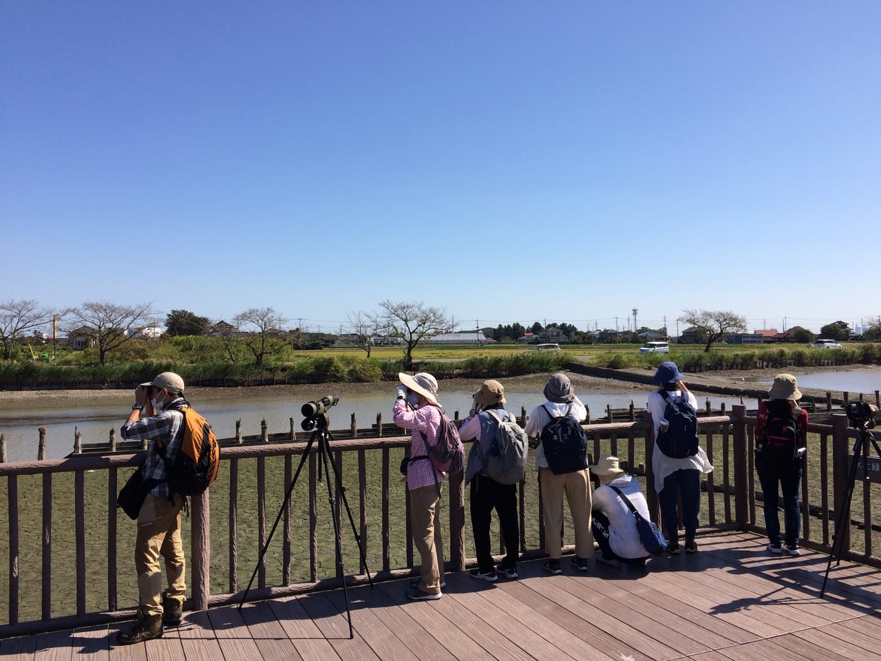 観察風景