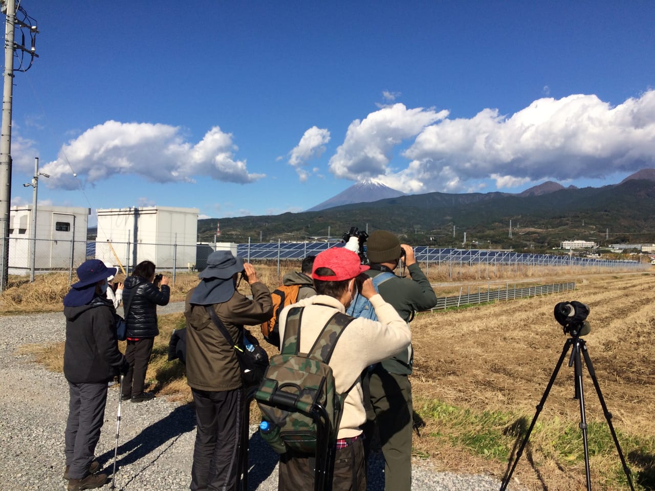 富士山を望む