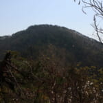 oz-d-okuta22-2
