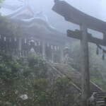 oz-d-kueda22-1