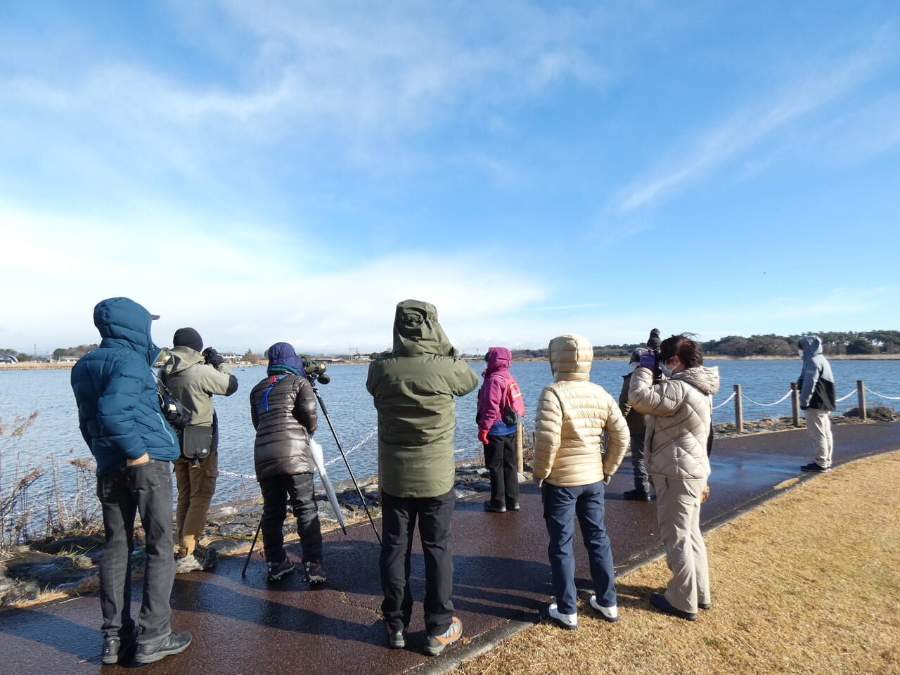 多々良沼での観察風景