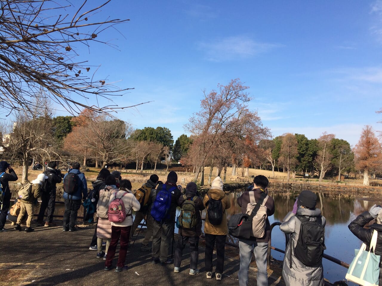 水元公園での観察風景