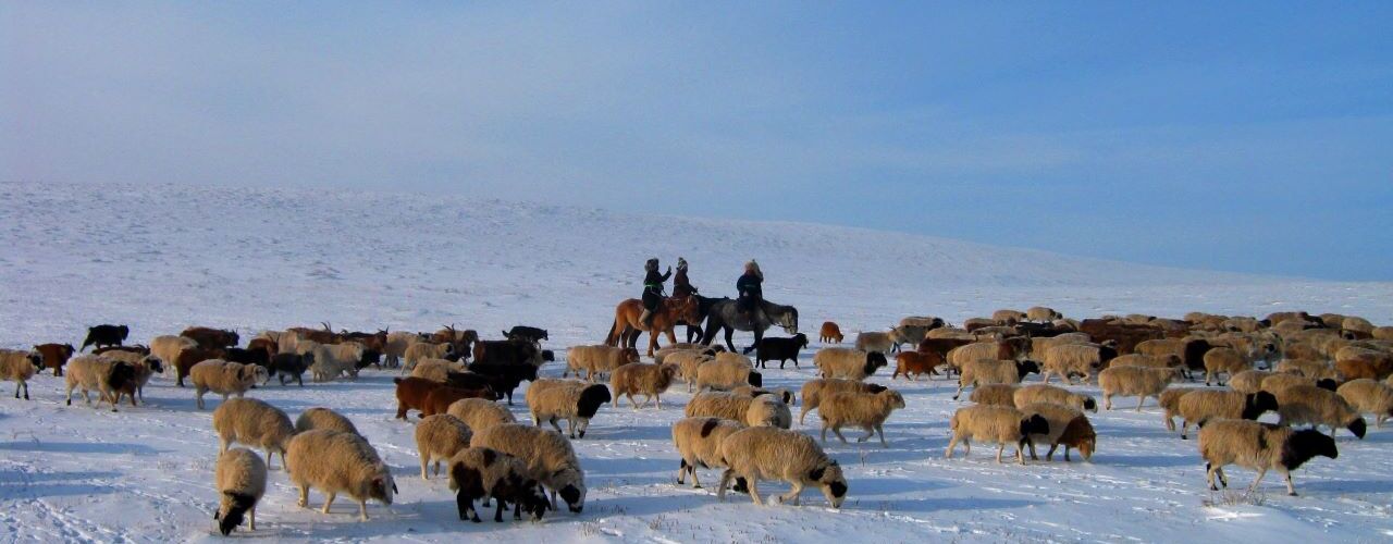 冬のモンゴル