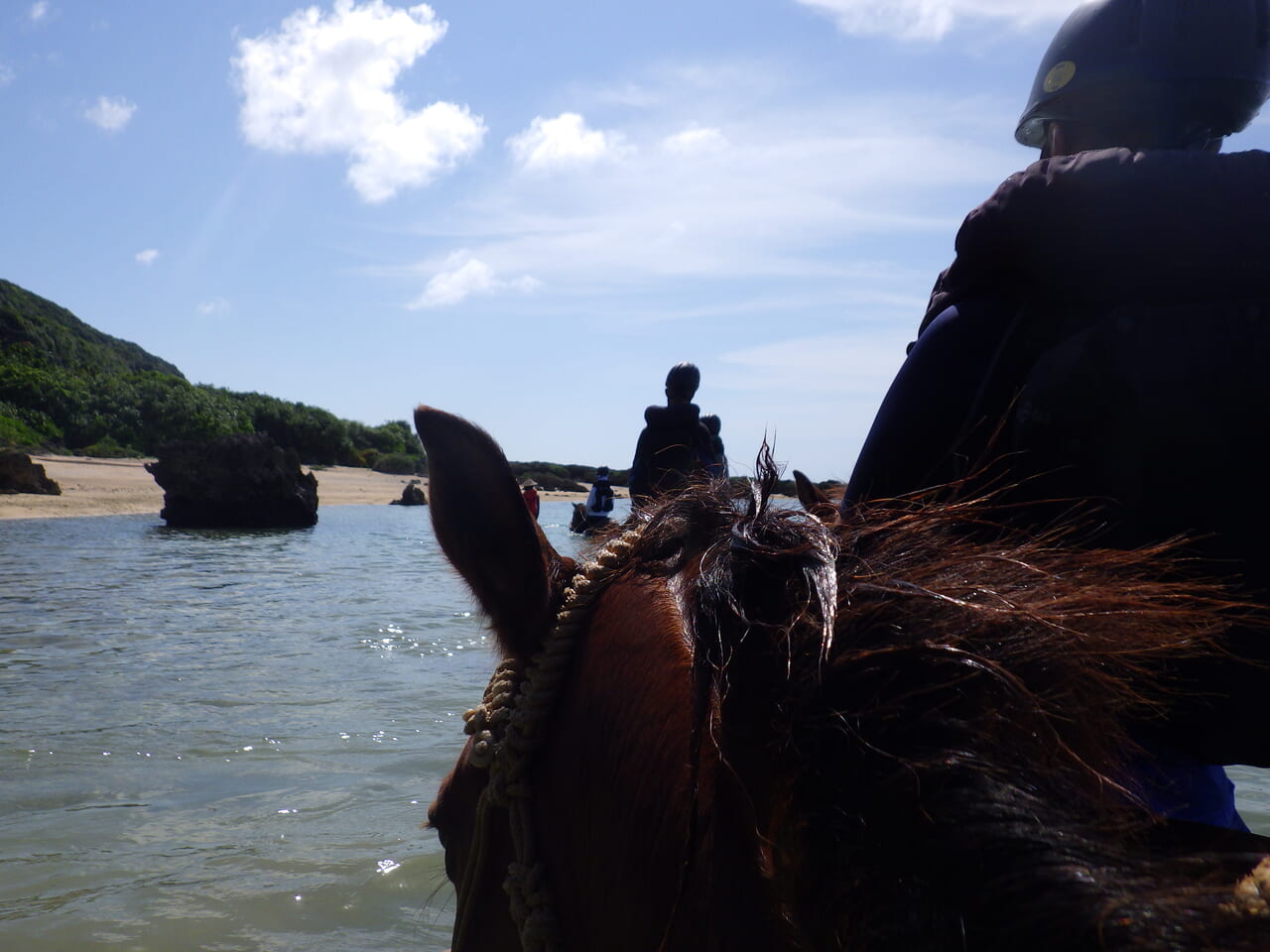 ヨナグニウマと海の道を進む