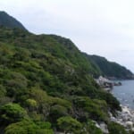 oz-d-yakushima-ohara2