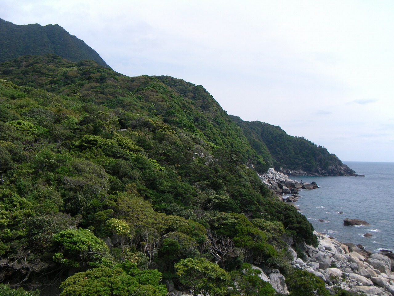 oz-d-yakushima-ohara2